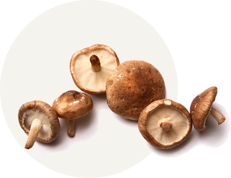 Category-mushroom