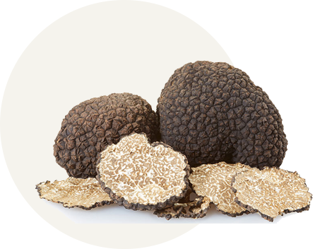 Category-truffles